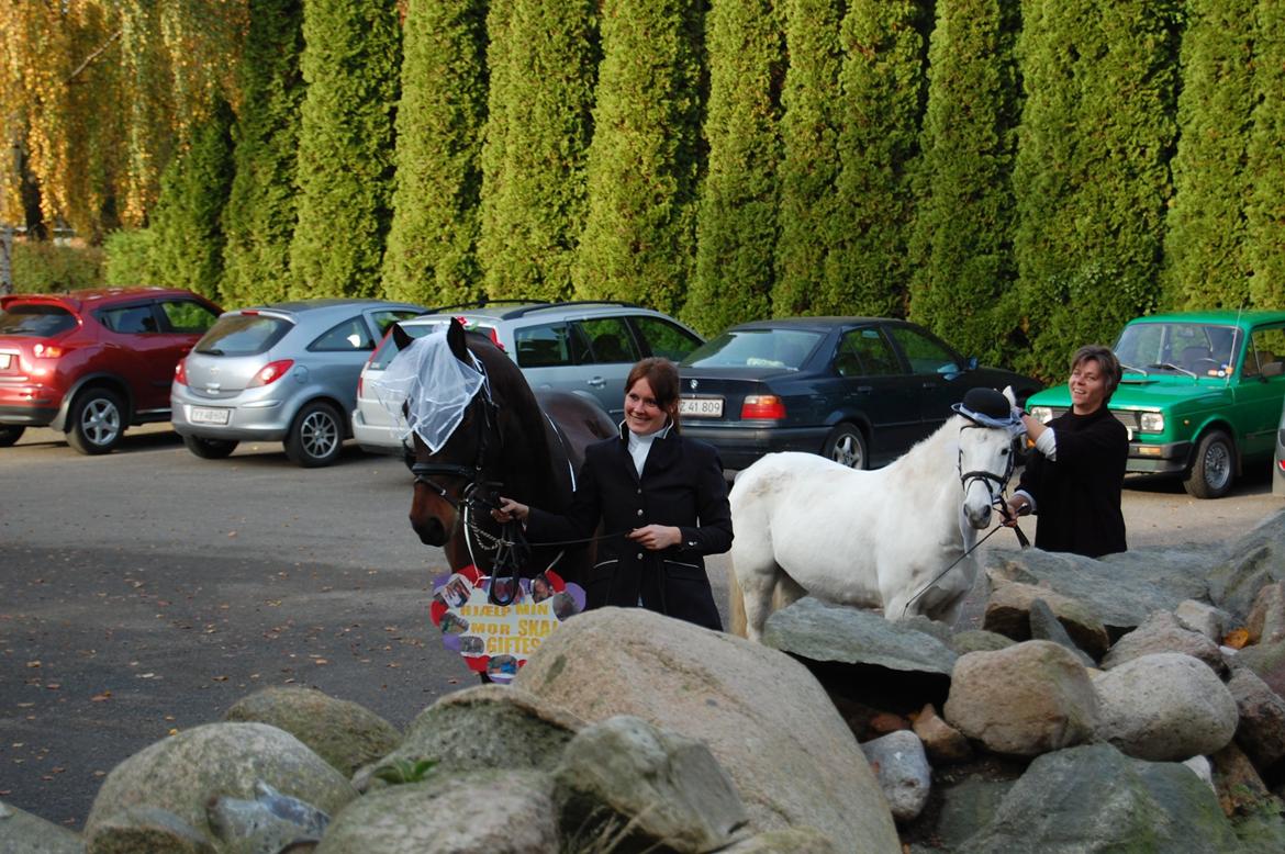 mit bryllup den 20 oktober billede 7