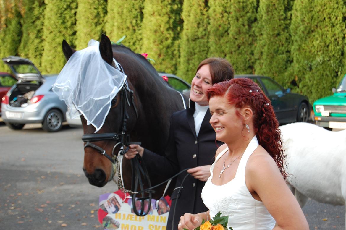 mit bryllup den 20 oktober billede 8