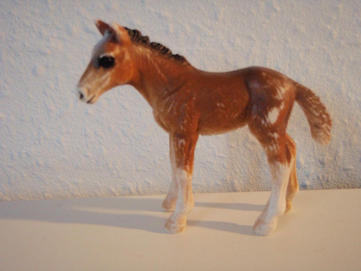 Mine schleich heste+ting ;) - Navn : Easy - Køn : Hoppe - Alder : 1 billede 25