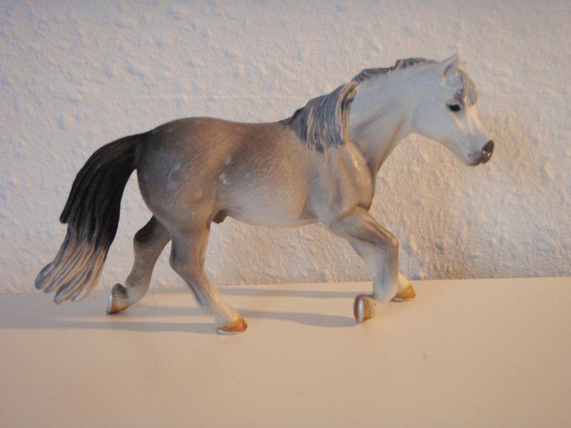 Mine schleich heste+ting ;) - Navn : Filur - Køn : Vallak - Alder : 7 billede 27