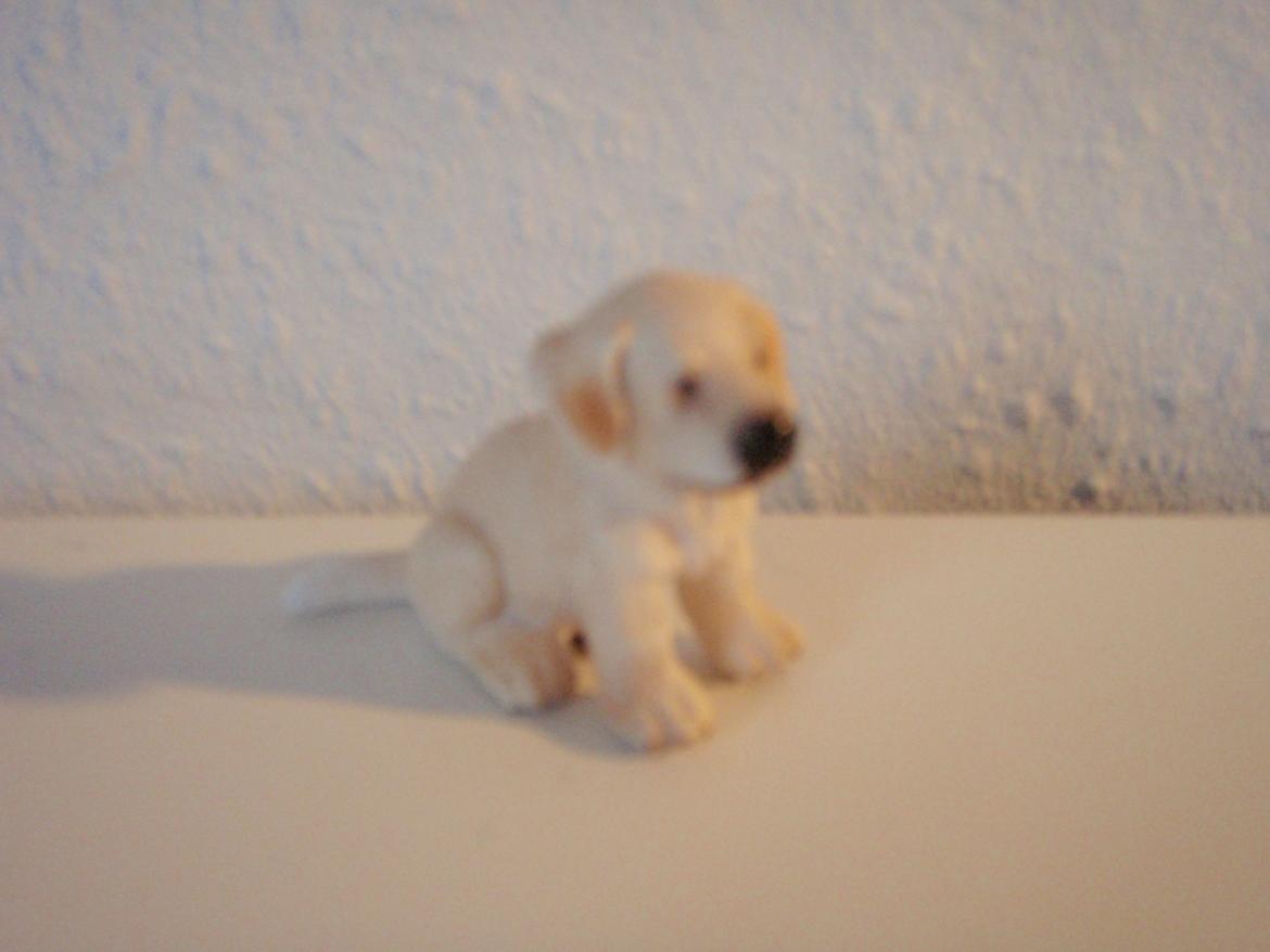 Mine schleich heste+ting ;) - Navn : Stella - Alder : 1 billede 35