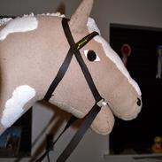 Pinto *Colombus* Anne Mettes