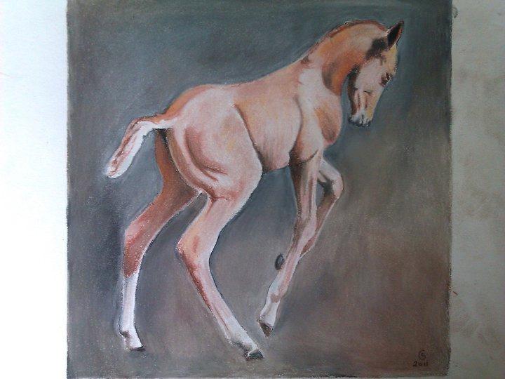 heste tegninger og malerier - en trediedel af en serie på tre billeder 20x20 billede 5