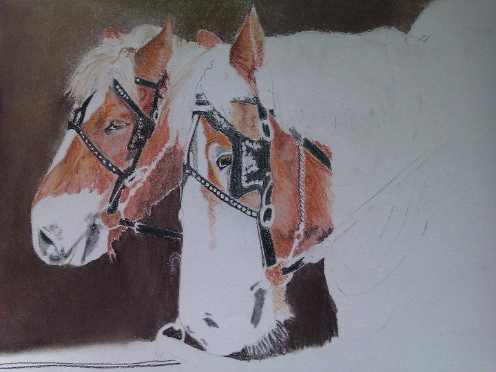 heste tegninger og malerier - gik lidt død i detaljer tegning på a3 billede 10