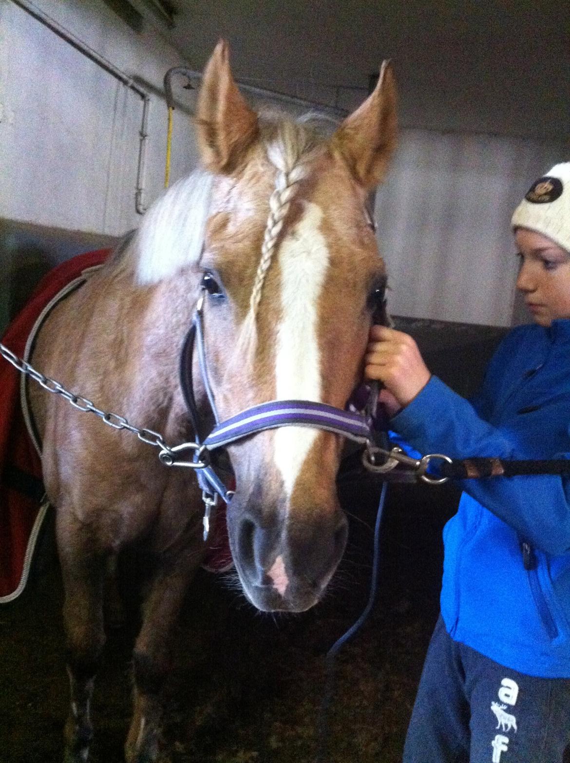 Lamse bliver klippet!<3 billede 3