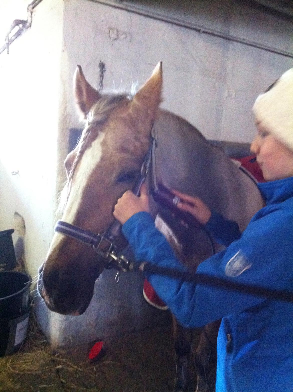 Lamse bliver klippet!<3 billede 4