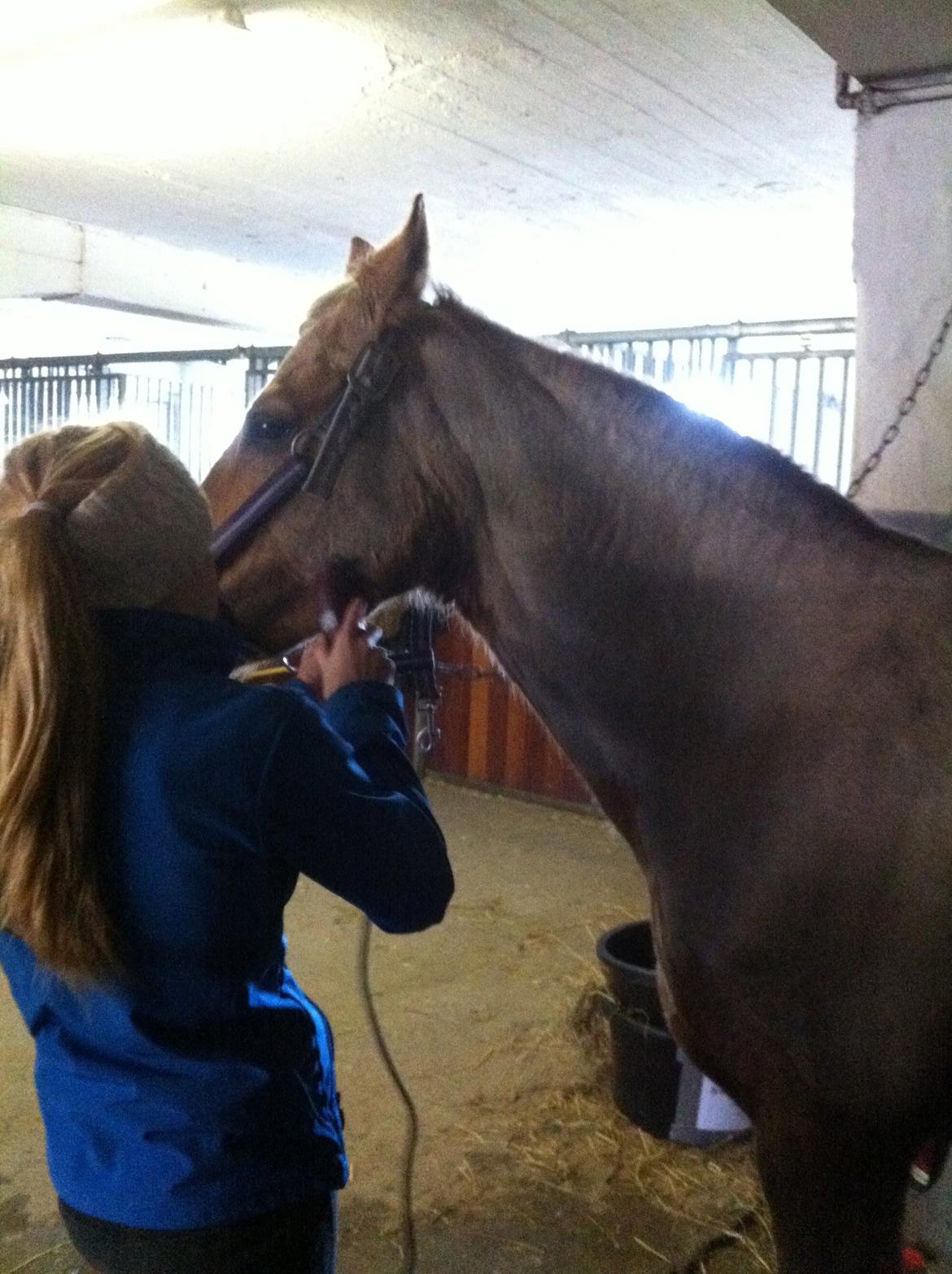 Lamse bliver klippet!<3 billede 6