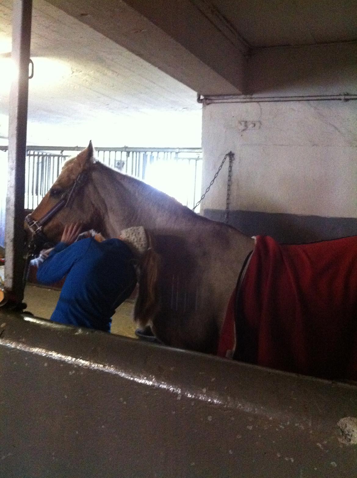 Lamse bliver klippet!<3 billede 7