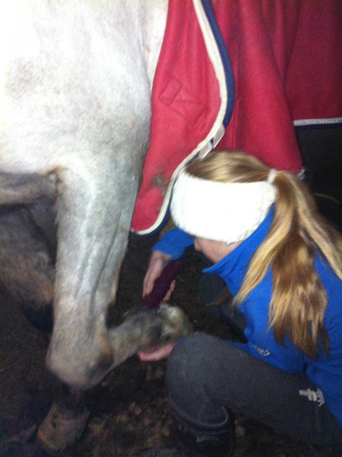 Lamse bliver klippet!<3 billede 11