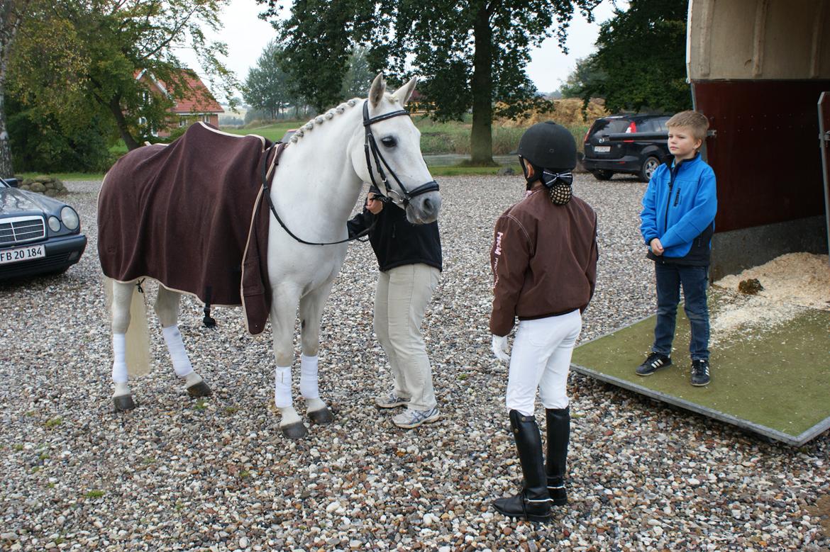 Stævne Frederiksværk Rideklub billede 1