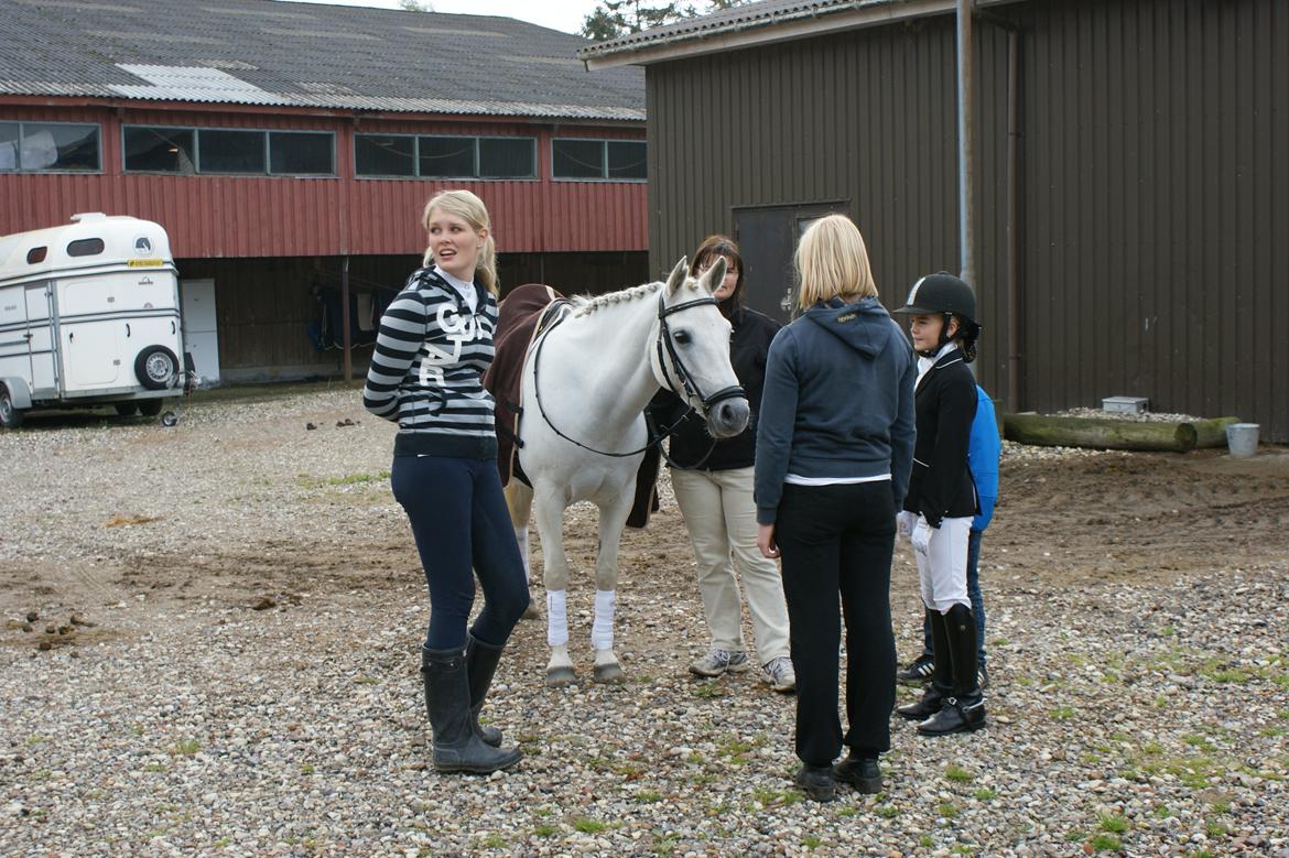 Stævne Frederiksværk Rideklub billede 2
