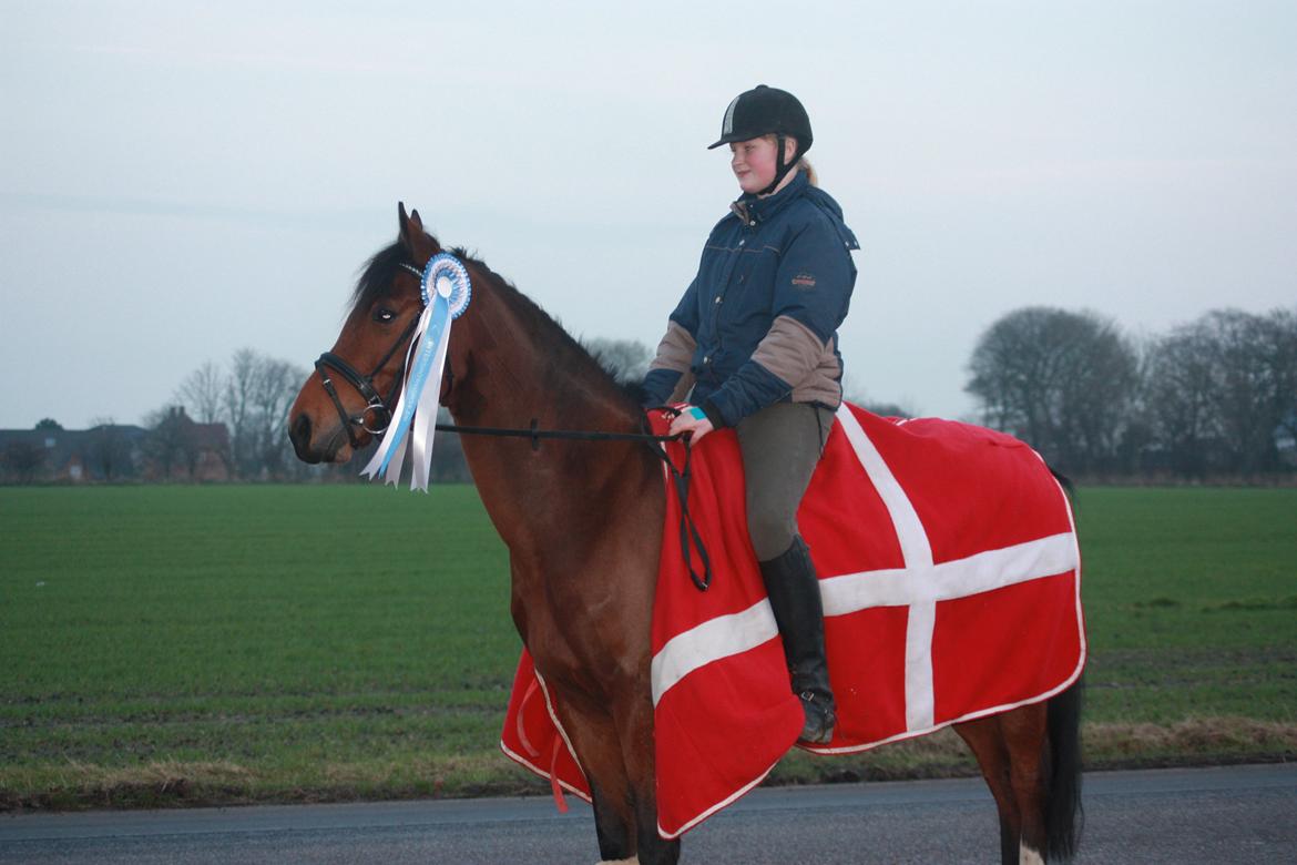billeder af ponyen med sin flotte  roset på fra ISH  - 20/11 2012 fotograf: Malene Petersen  billede 3