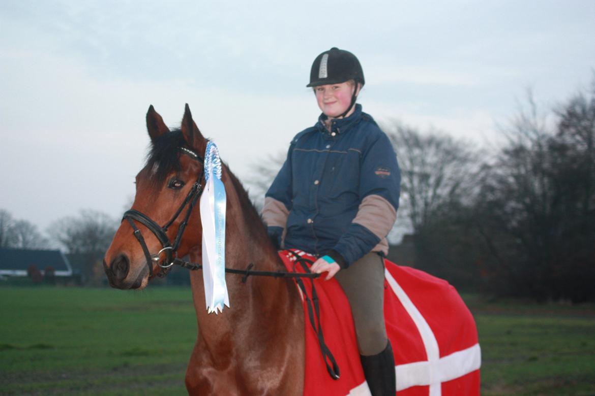 billeder af ponyen med sin flotte  roset på fra ISH  - 20/11 2012 fotograf: Malene Petersen  billede 4
