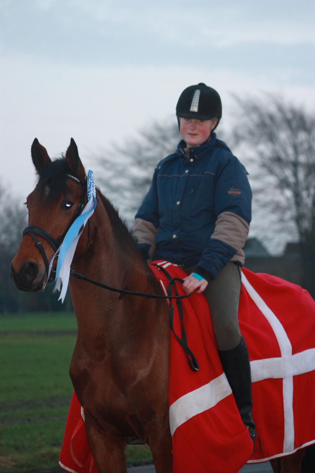 billeder af ponyen med sin flotte  roset på fra ISH  - 20/11 2012 fotograf: Malene Petersen  billede 2
