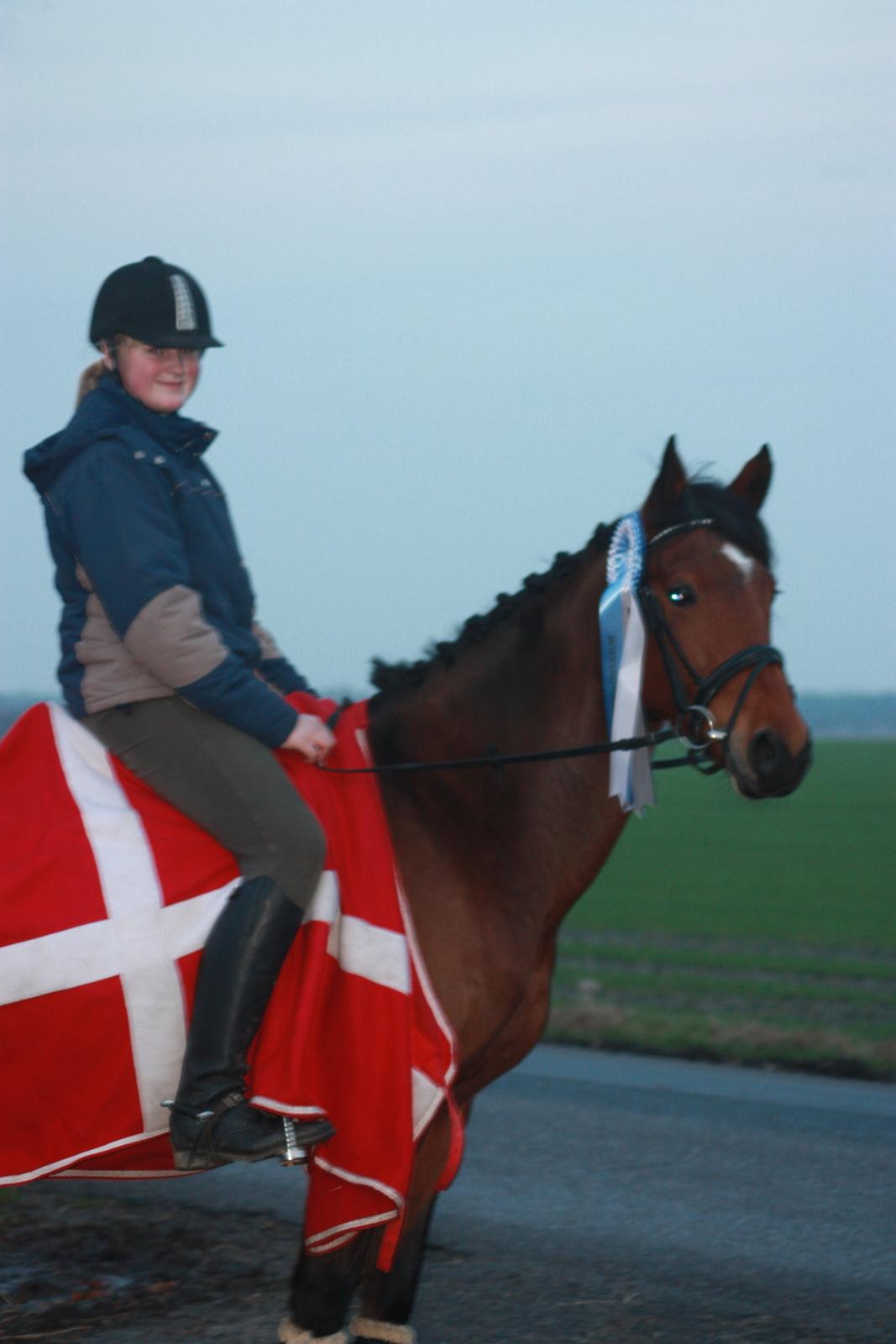 billeder af ponyen med sin flotte  roset på fra ISH  - 20/11 2012 fotograf: Malene Petersen  billede 6