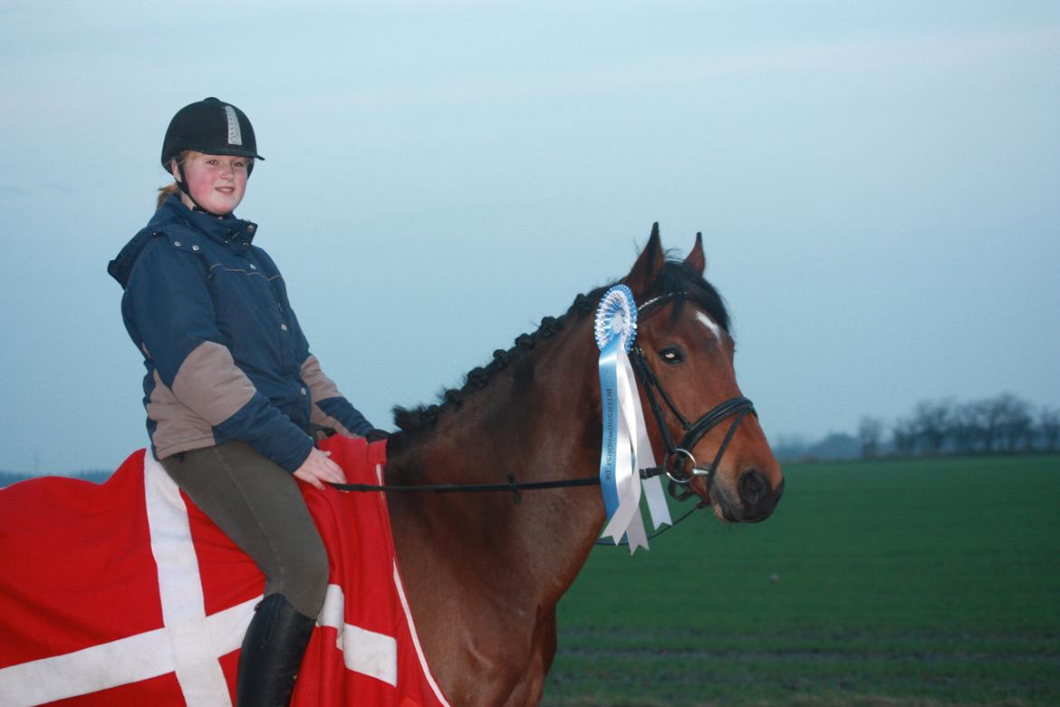 billeder af ponyen med sin flotte  roset på fra ISH  - 20/11 2012 fotograf: Malene Petersen  billede 7