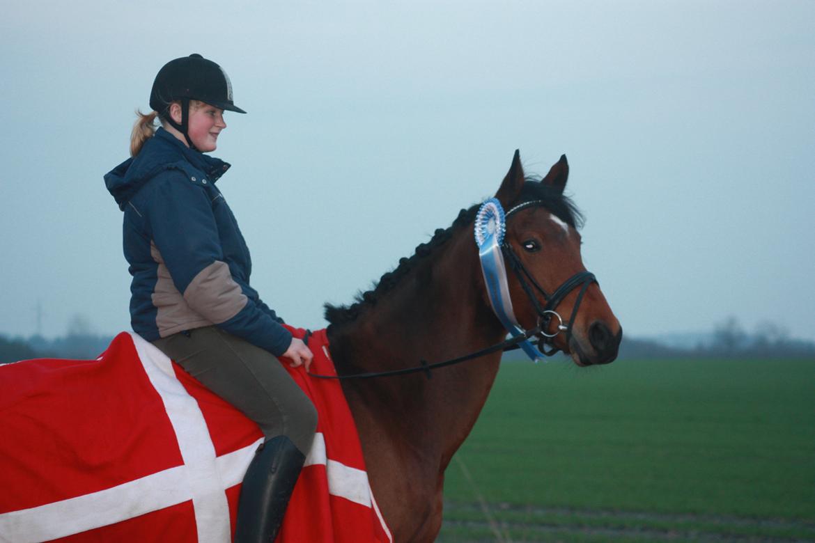 billeder af ponyen med sin flotte  roset på fra ISH  - 20/11 2012 fotograf: Malene Petersen  billede 9