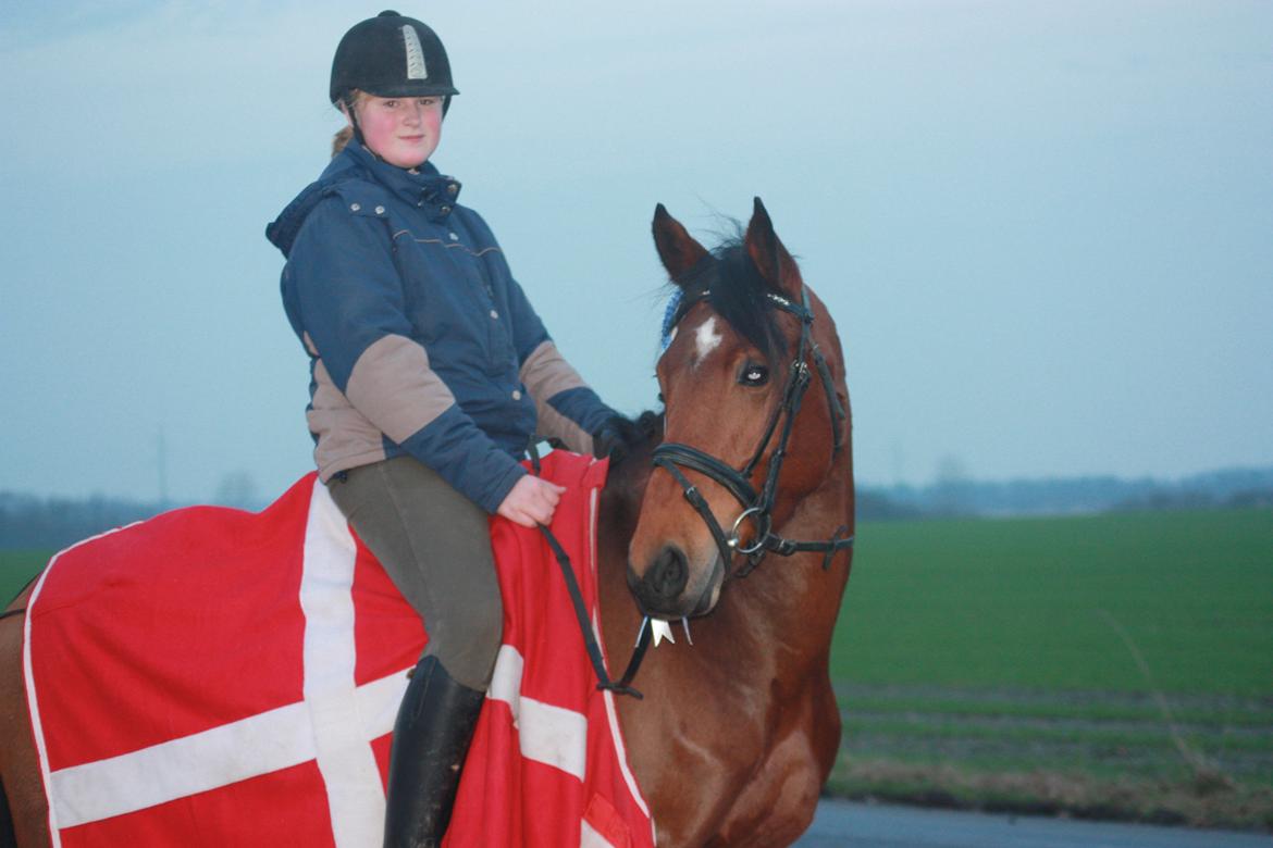 billeder af ponyen med sin flotte  roset på fra ISH  - 20/11 2012 fotograf: Malene Petersen  billede 10