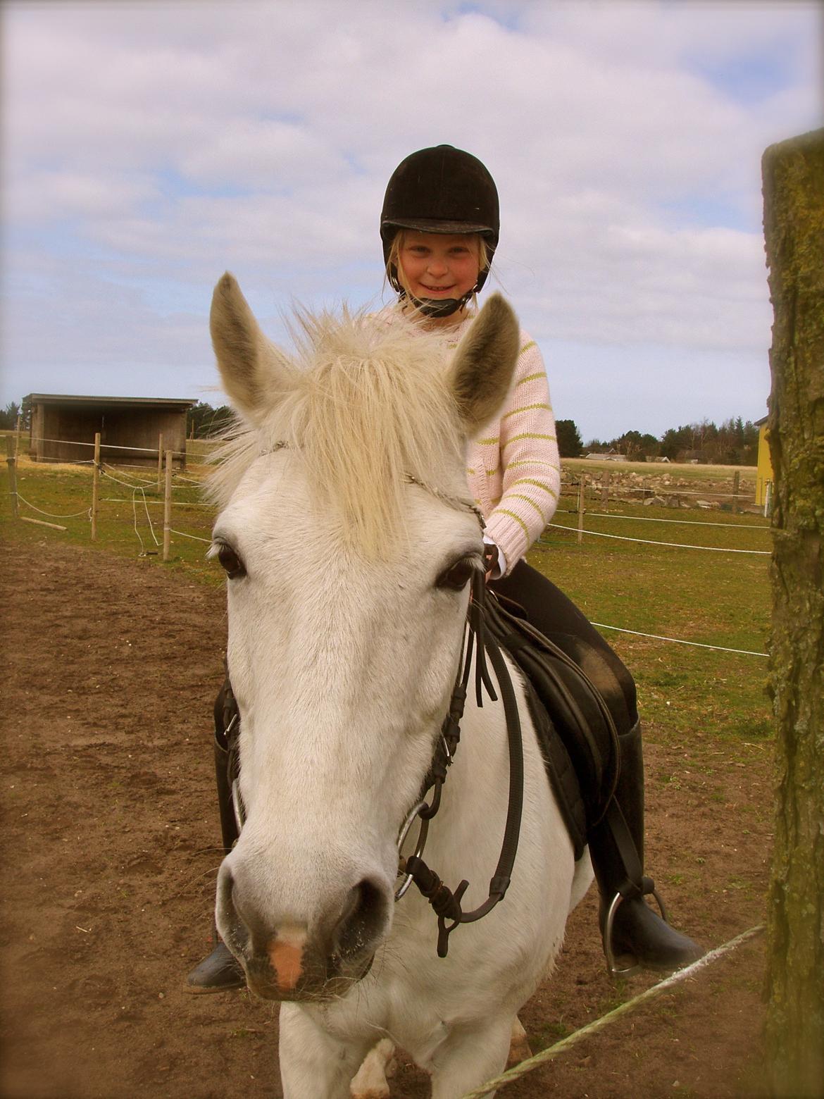 Hestene igennem tiden som jeg har redet  - Første gang på ryggen af en pony - 2007 billede 1