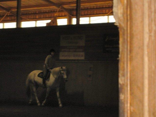 Hestene igennem tiden som jeg har redet  - Rideskole ponyen Lina - 2010 billede 6