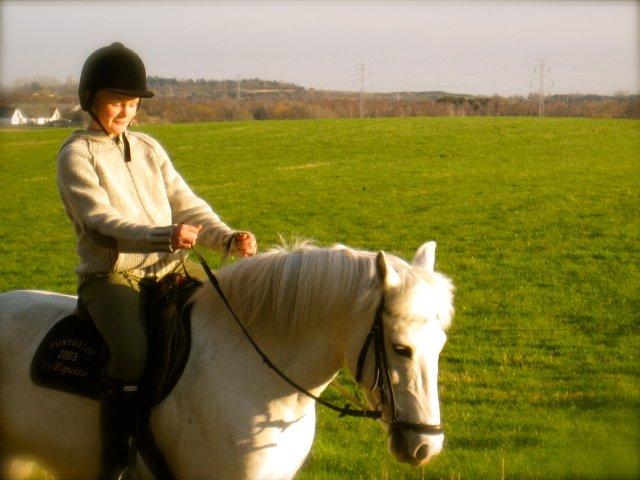 Hestene igennem tiden som jeg har redet  - 2. pony jeg var oppe på, på frederiksværk rideklub og på rideskole ponyen Lina. 2010 billede 3