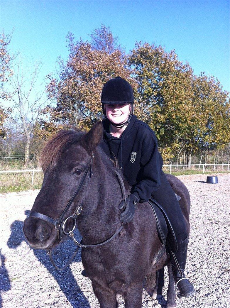 Hestene igennem tiden som jeg har redet  - På min nye ven Brædla - 2011, vi flyttede til JYLLAND, og jeg faldt over denne skønne hoppe, som skulle tilrides.. :) billede 14