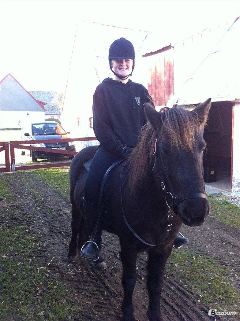 Hestene igennem tiden som jeg har redet  - Det var meget nyt for os begge to. - 2011 billede 15