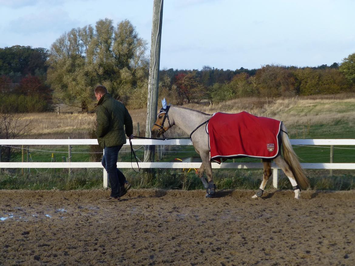 Stævnebilleder fra Vestervang Rideklub!<3 - Haha komisk! XD billede 2