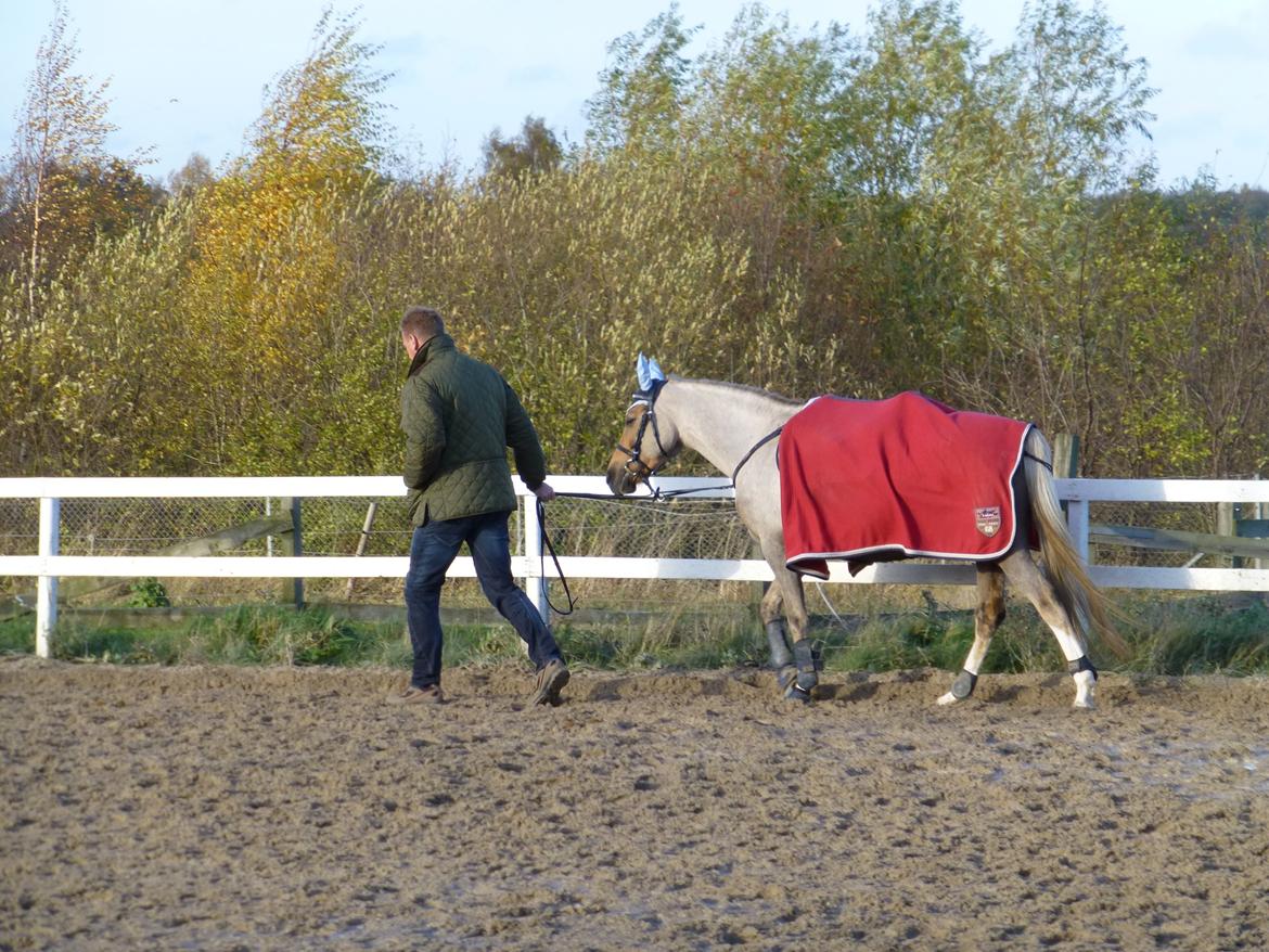 Stævnebilleder fra Vestervang Rideklub!<3 - Så får både far og Lamse sig en gå tur! :P billede 3