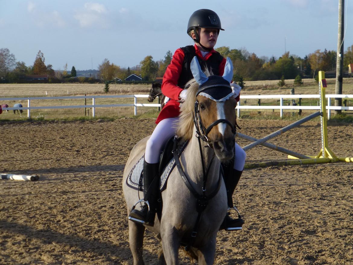Stævnebilleder fra Vestervang Rideklub!<3 - Søde Lamse med hut på! ahahaha! XD billede 5