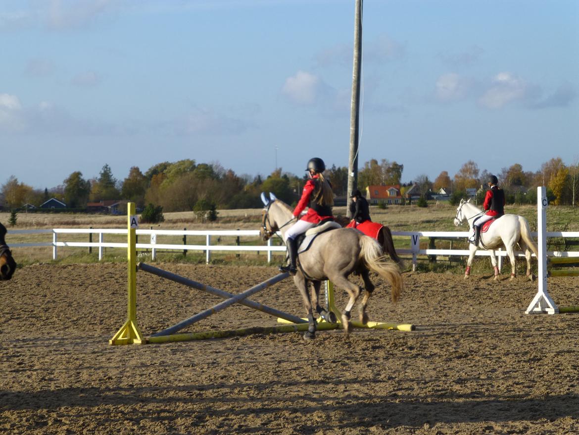 Stævnebilleder fra Vestervang Rideklub!<3 - 1 sek. efter og det havde været et springbilled! -.- billede 6