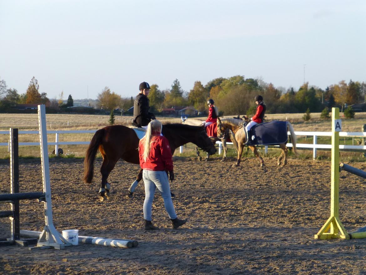 Stævnebilleder fra Vestervang Rideklub!<3 - mere skridt -.- billede 10