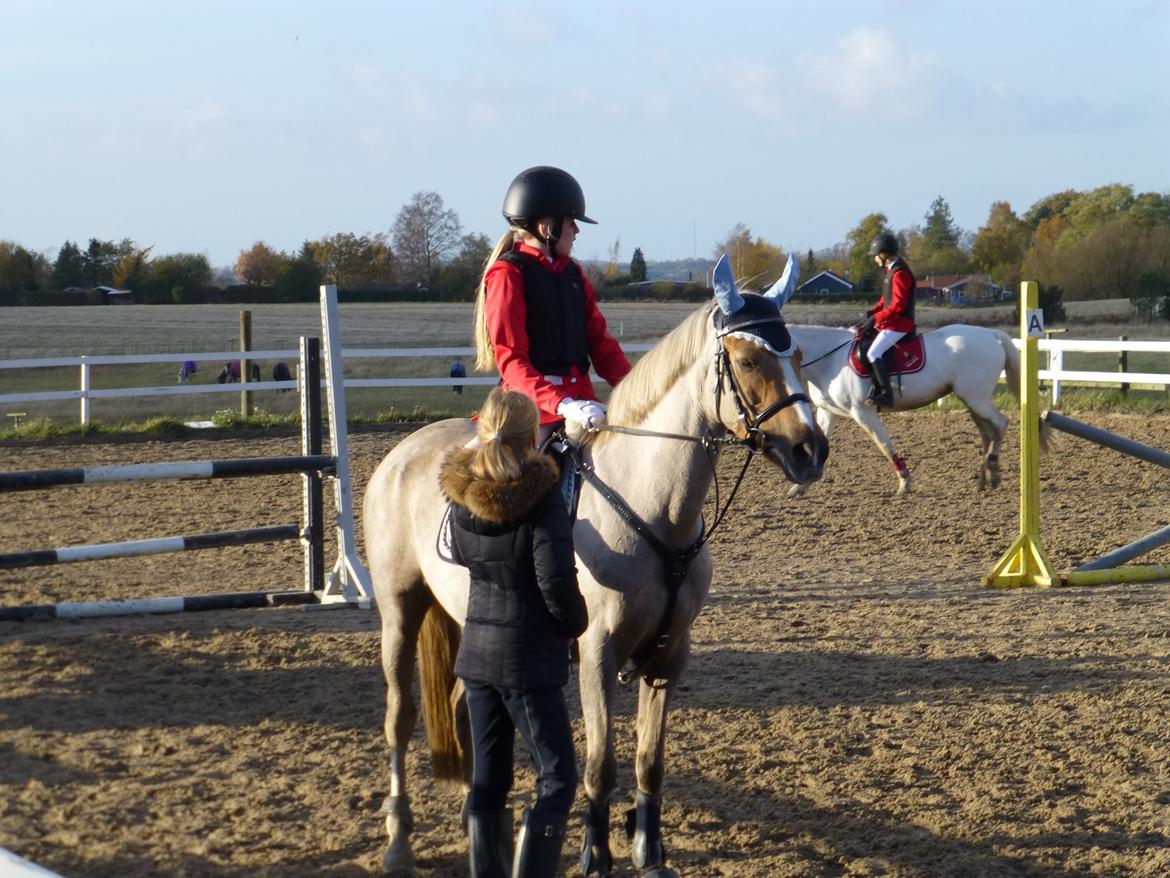 Stævnebilleder fra Vestervang Rideklub!<3 - Gaaab var Lamse? ;D billede 7
