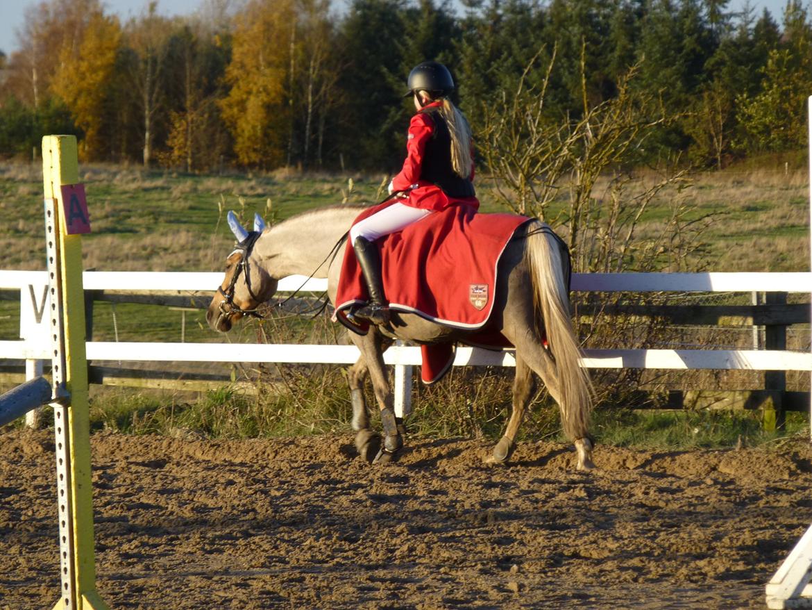Stævnebilleder fra Vestervang Rideklub!<3 - Skridt! :P billede 9