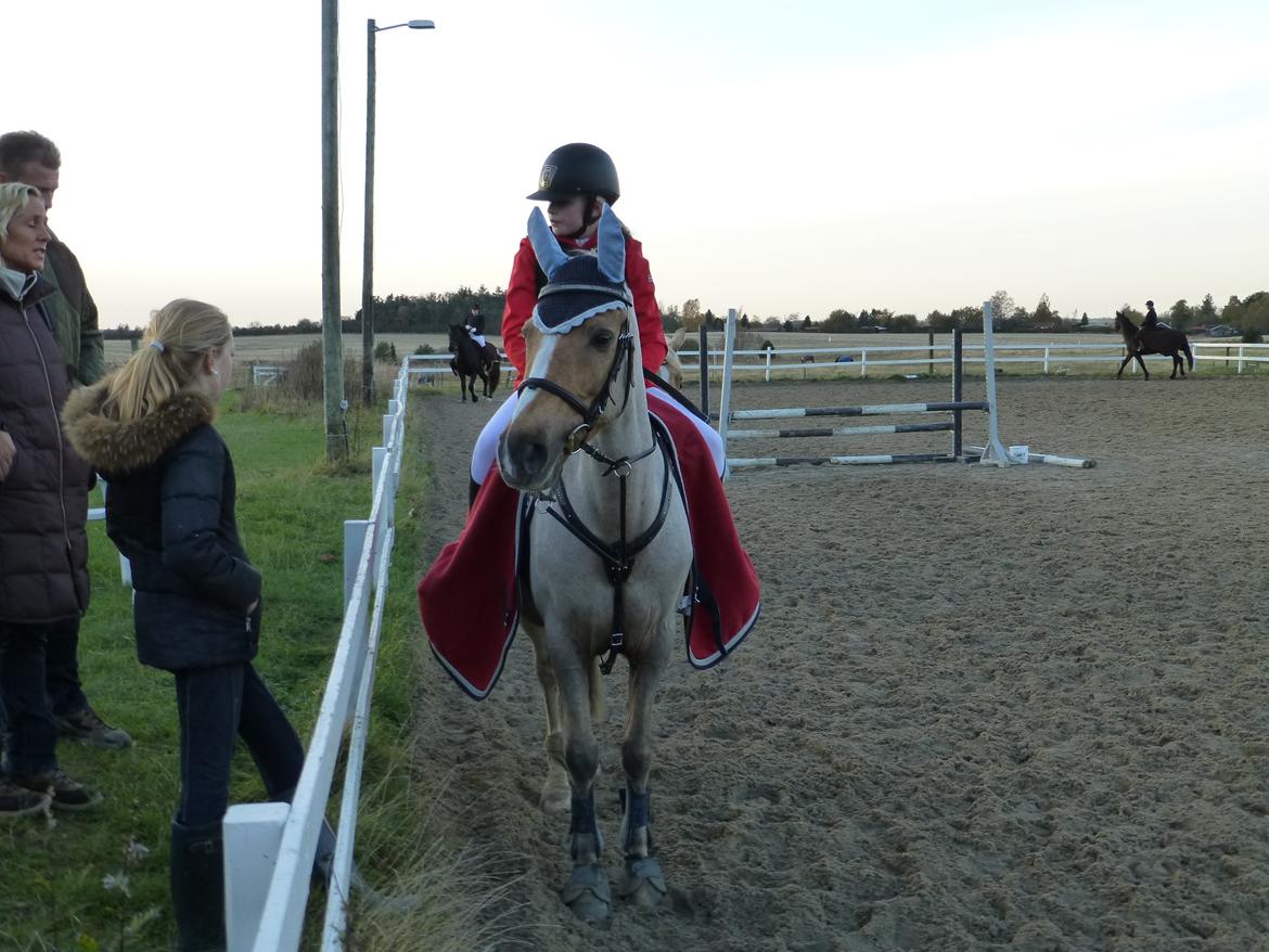 Stævnebilleder fra Vestervang Rideklub!<3 - Smukke Lamse!<3 billede 15
