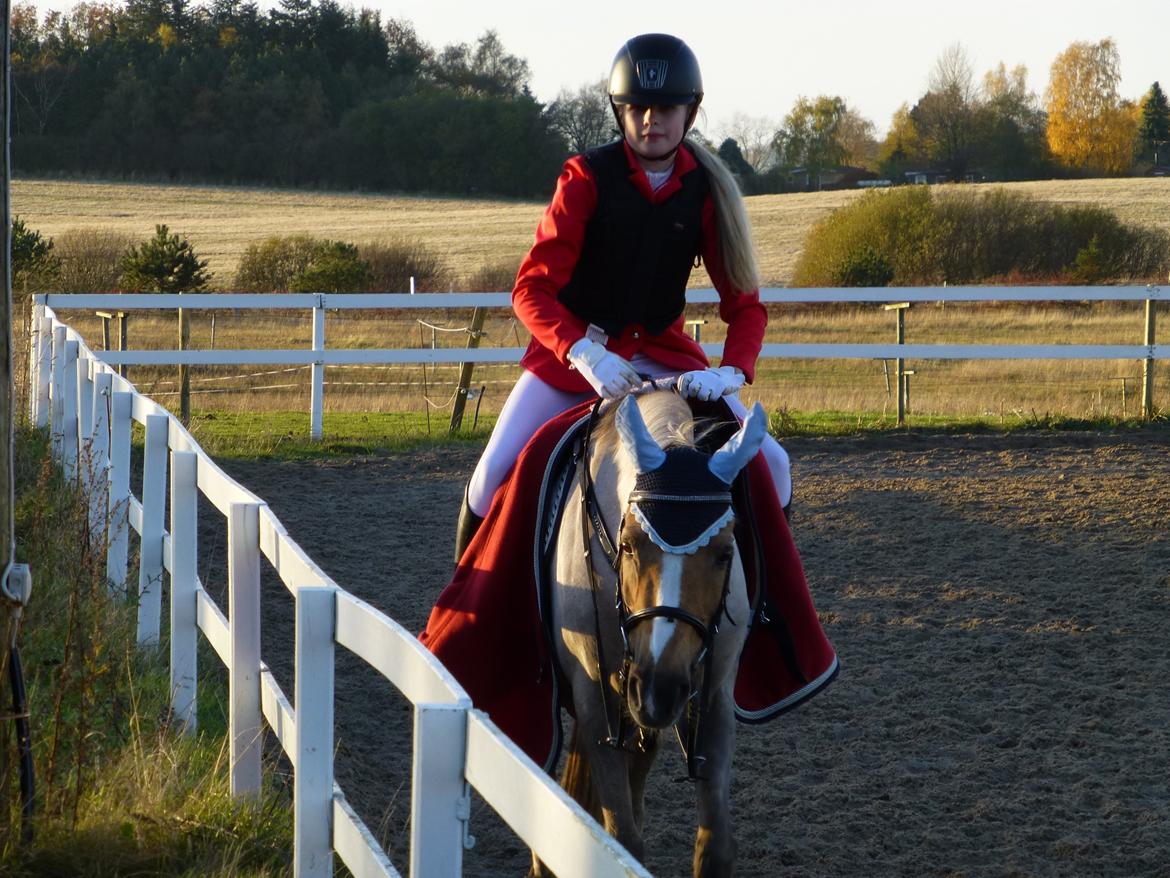 Stævnebilleder fra Vestervang Rideklub!<3 - Fail af mig! :O billede 11