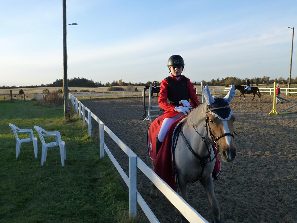 Stævnebilleder fra Vestervang Rideklub!<3 - :D billede 12