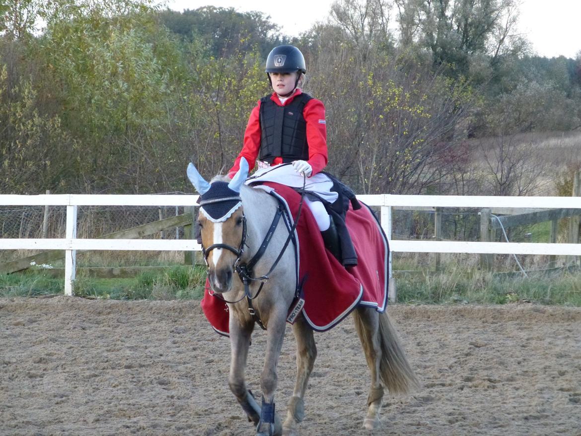 Stævnebilleder fra Vestervang Rideklub!<3 - TOP SWAG!<3 lamse swag! :P billede 17