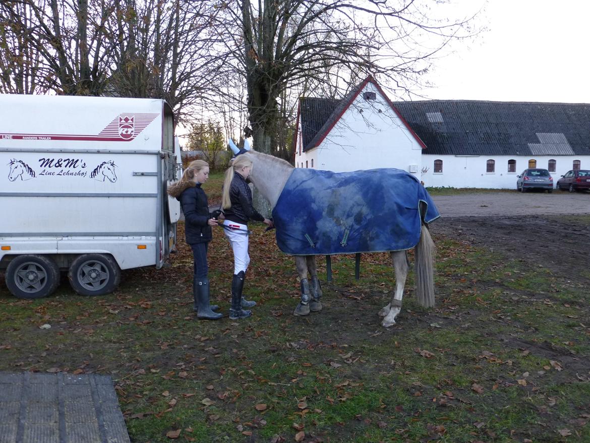 Stævnebilleder fra Vestervang Rideklub!<3 - Så bliver der sadlet af og gjort klar til hjemturen! :D billede 18