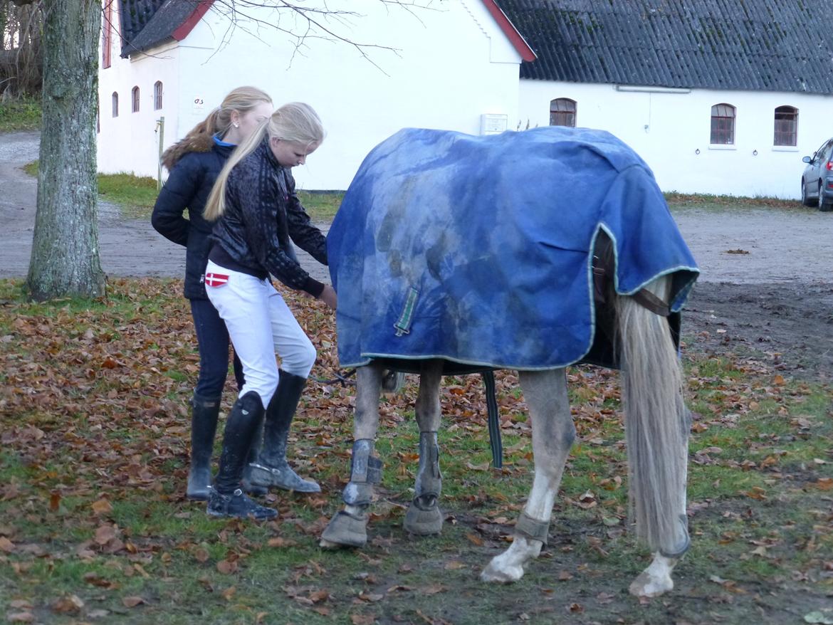 Stævnebilleder fra Vestervang Rideklub!<3 - GANGNAM STYLE! XD billede 19