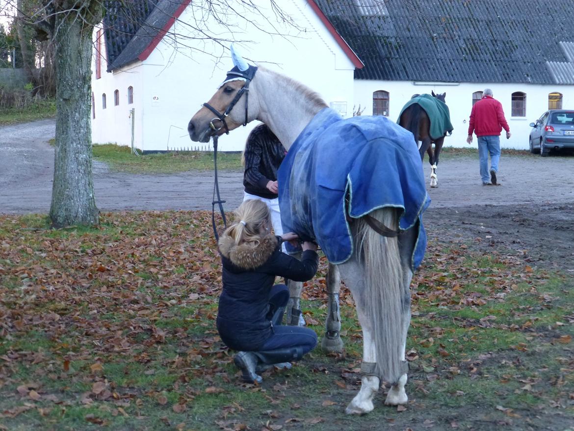 Stævnebilleder fra Vestervang Rideklub!<3 - Søde Lamse-mus!<3 billede 20