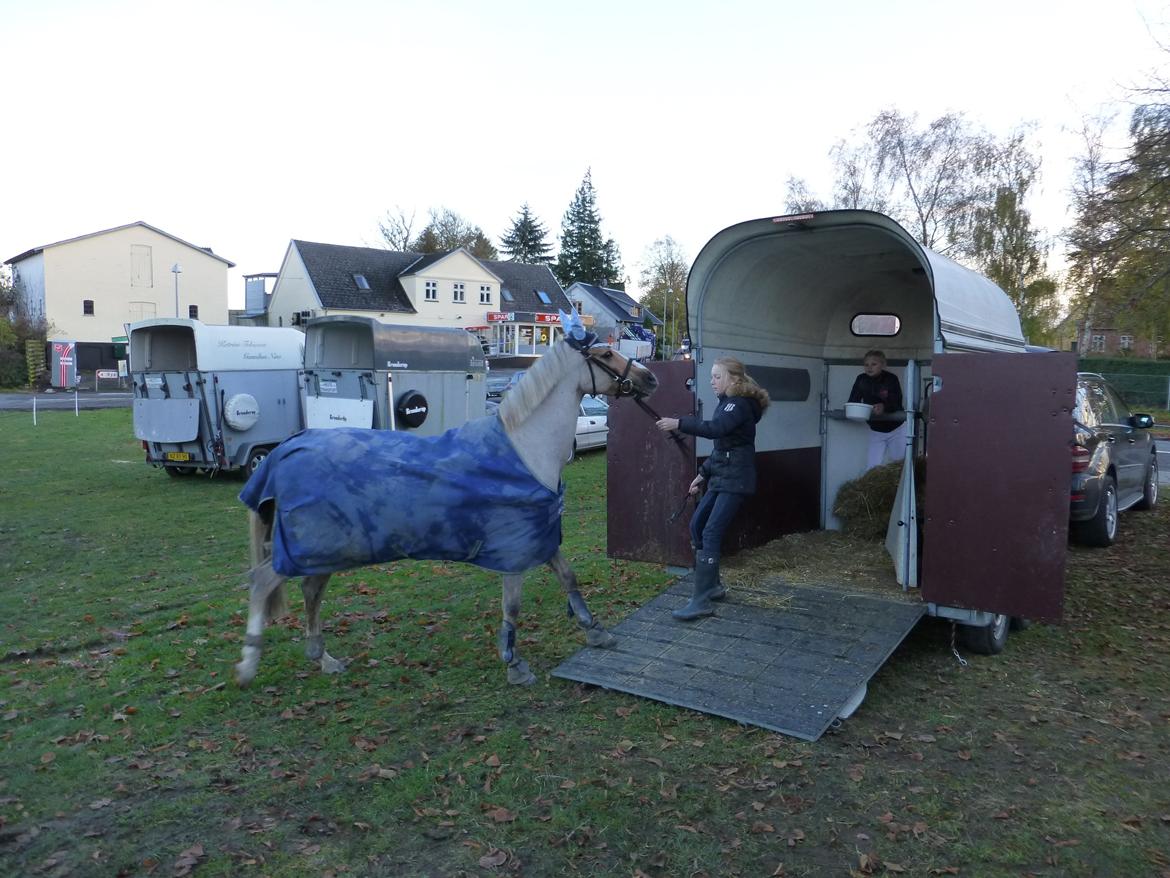 Stævnebilleder fra Vestervang Rideklub!<3 - Et skridt for Lamse, Et kæmpe skridt for Lamseheden! :D (what!?) billede 23