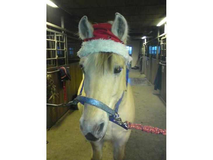 {{currentPhoto.altText}} billede {{currentPhoto.number}}