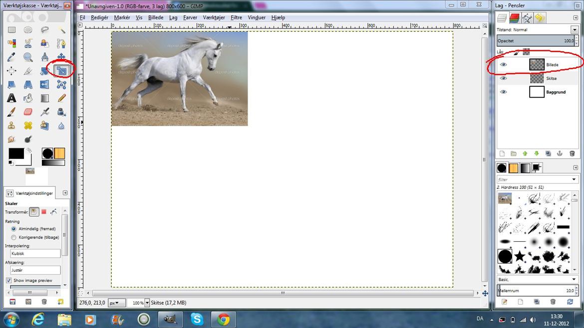 Tegn din hest på PC! - Så går vi i gang!
Det kan være en god idé, det første gange man tegner, lige at bruge et billede at kigge efter.
Hvis i ikke vil det, skal i bare gå videre til næste billede.

Dette billede er bare en random billede fra google. 

Hvis du vil have billedet større eller mindre, så brug knappen "skalér" (markeret til venstre med en rød ring)

Det er en god idé at have flere lag. Et til billedet, et til baggrunden og et til tegningen (til at starte med i hvert fald).

Placer billedet et sted, så det ikke kommer til at være i vejen for din tegning.

OBS! Sørg for at billedet ikke ligger på et lag for sig selv og IKKE på baggrundslaget. billede 1