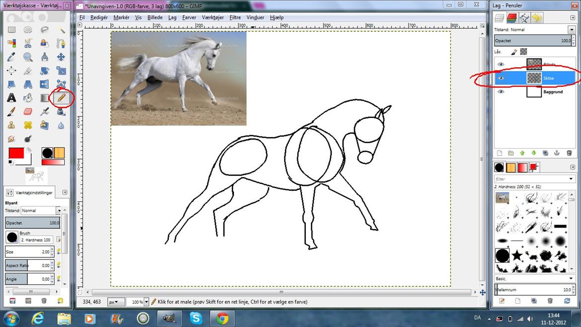 Tegn din hest på PC! - Så skal der tegnes skitse!
Som hjælp kan du evt. bruge cirkler til hoved (mule og kæbe-pande), skulderne og bagparti m.m. Jeg har valgt, kun at bruge de nævnte eksempler. 

OBS! Sørg for, at du ikke tegner skitsen på samme lag som hverken baggrunden eller billedet! billede 2