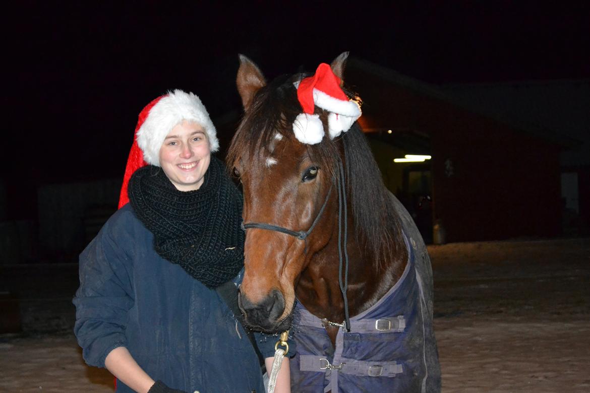 Vores billedebog. - Glædelig jul herfra! Mig og Kaliber tager det stille og roligt her i vintertiden, men vi ønsker jer alle en glædelig jul! Dette er vores anden jul sammen :-D billede 68
