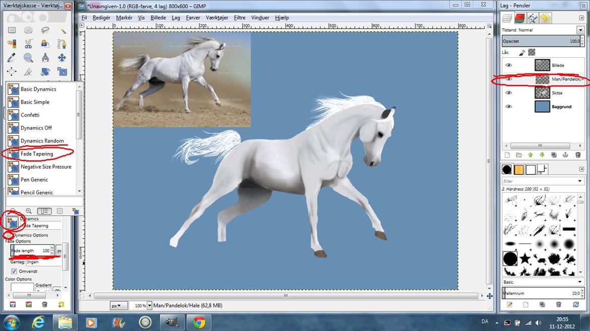 Tegn din hest på PC! - Tid til man og hale! Så er vi næsten færdige!

Lav først et nyt lag over laget med hesten (tegningen). Vælg derefter en grundfarve.
Vælg penslen og rul ned i bjælken "værktøjsindstillinger". Der er en knap der hedder "Dynamics". Tryk på den og vælg "Pressure Opacity". Tryk så på det lille plus nedenunder og sæt et flueben i "omvendt". Du kan så vælge hvor langt du kan tegne, før stregen forsvinder.
Optegn så pandelokken, manen og halen. Det behøver ikke være pænt, bare det ligner nogenlunde. billede 13
