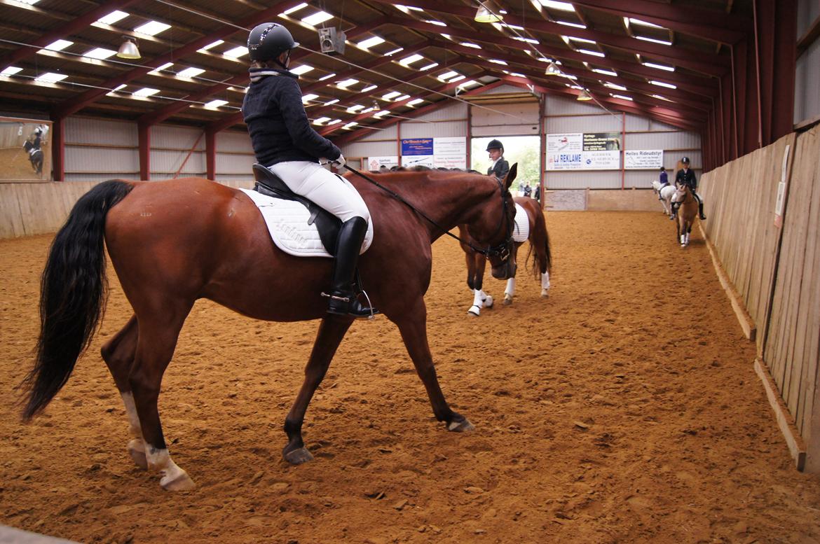 Stævne i Helle Rideklub 15-16 september. billede 2