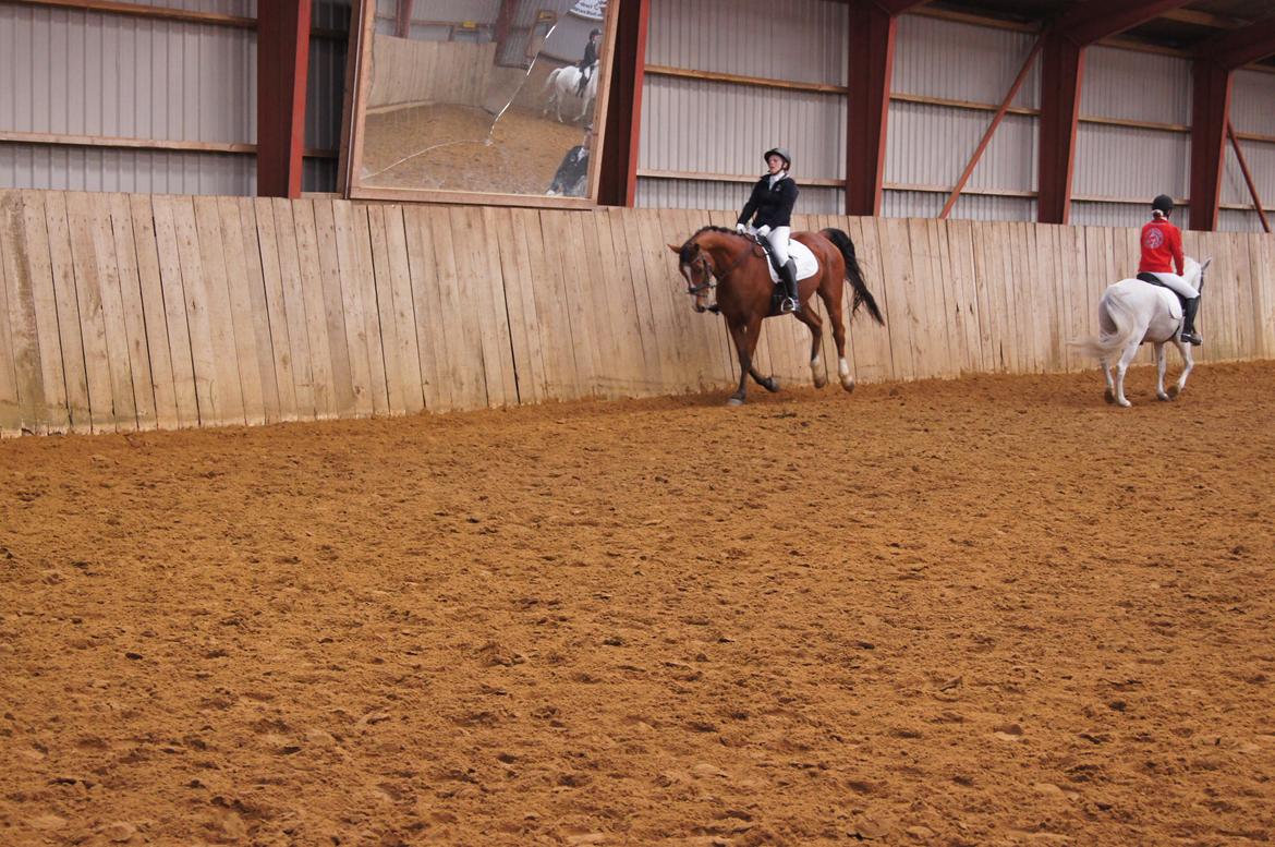 Stævne i Helle Rideklub 15-16 september. billede 3