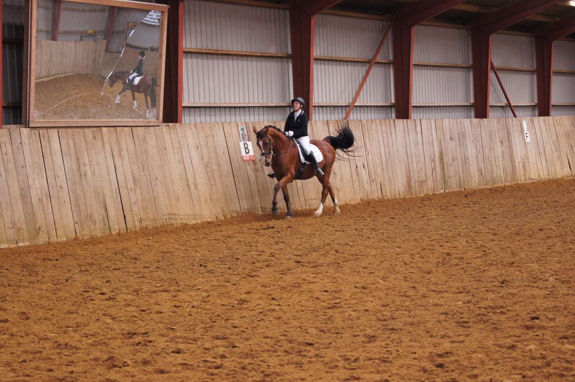 Stævne i Helle Rideklub 15-16 september. billede 4